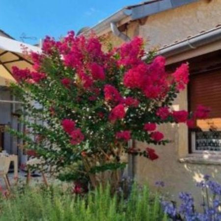 Rouffignac-de-Sigoules L'Esprit Du 24 B&B 외부 사진
